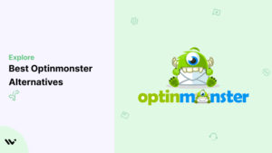 Explore Best Optinmonster Alternatives